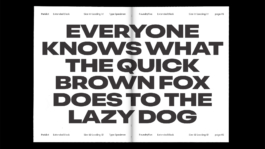 No Studio, Studio is an Independent Design Practice, Brand & Publisher navigating the intersections. 