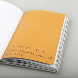 No Studio, Studio is an Independent Design Practice, Brand & Publisher navigating the intersections. 