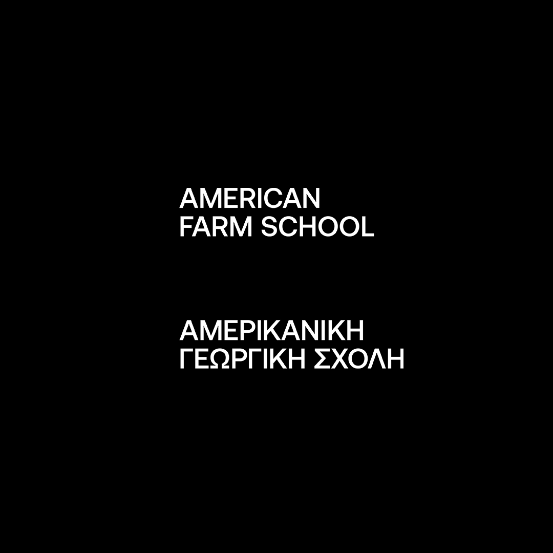 No Studio, Studio is an Independent Design Practice, Brand & Publisher navigating the intersections. 