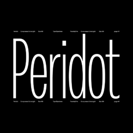 No Studio, Studio is an Independent Design Practice, Brand & Publisher navigating the intersections. 